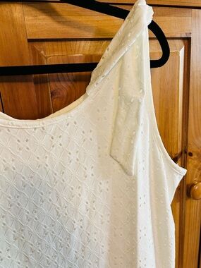 Gorgeous Cream Eyelet  full lined lace Dress